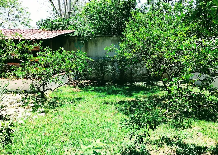 Hotel Y Museo Aldea Maya Toktli Origenes - Casa Maya Melipona - Alberca, Wifi Starlink, Tour Museo