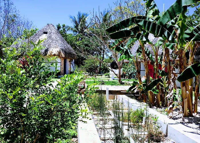 Hotel Y Museo Aldea Maya Toktli Origenes - Casa Maya Melipona - Alberca, Wifi Starlink, Tour Museo